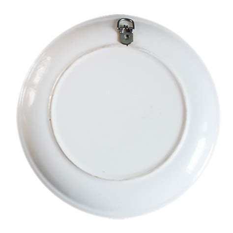 Mir Patta Patta Buuta Buuta Wall Plate Book Online available at ...
