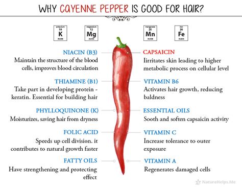 Kuvatulokset haulle cayenne pepper benefits