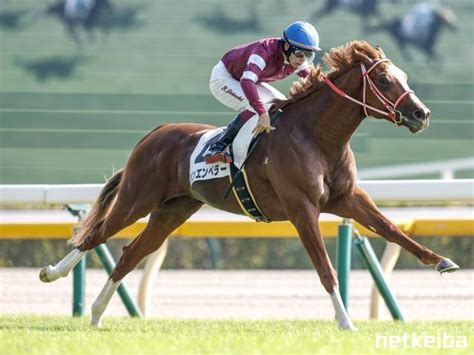 Shin Emperor | Horse Profile, Pedigree, Form, Race Record - netkeiba