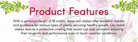 EXALT® 18 Inches Premium Plant Support Stakes, Sturdy Metal ...