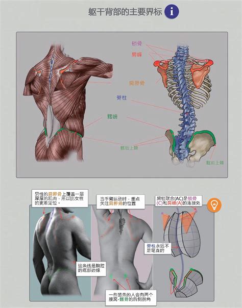 3D人体重建方法漫谈_主动式3d人体重建-CSDN博客