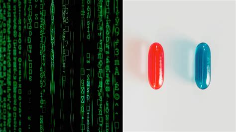 Image result for Matrix Simulation Theory