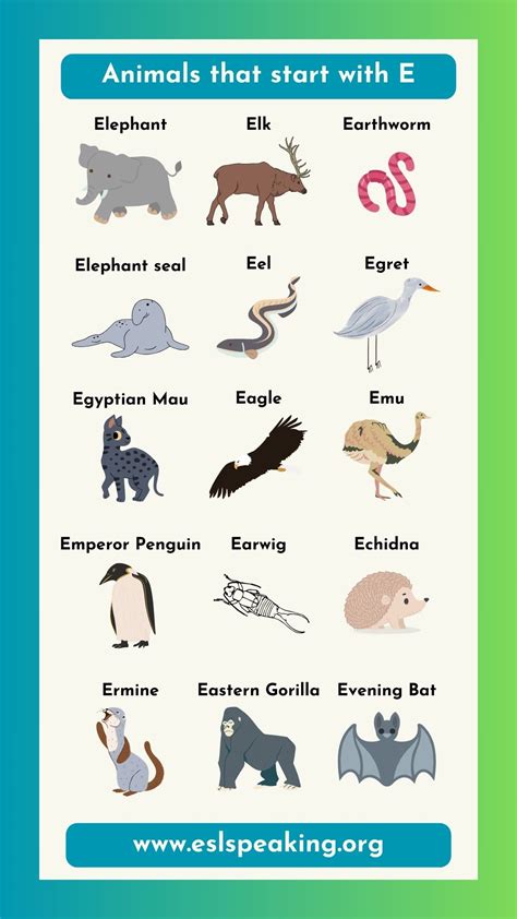 Animals that Start with the Letter E (Pictures and Interesting Facts)