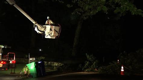 Image result for Tree Falling Hit Power Line