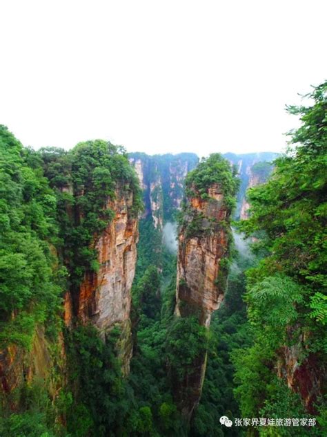 时隔四年再来张家界，重温科幻般的绝世风光-张家界旅游攻略-游记-去哪儿攻略