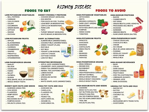 Amazon.com: Kidney Friendly Food List Chart - 12x16" Low Potassium Diet Poster, Kidney Health ...