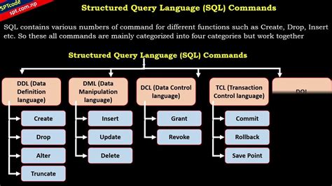 Image result for Database Command