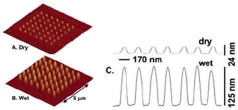 Micro- and Nanoscale Hydrogel Systems for Drug Delivery and Tissue ...