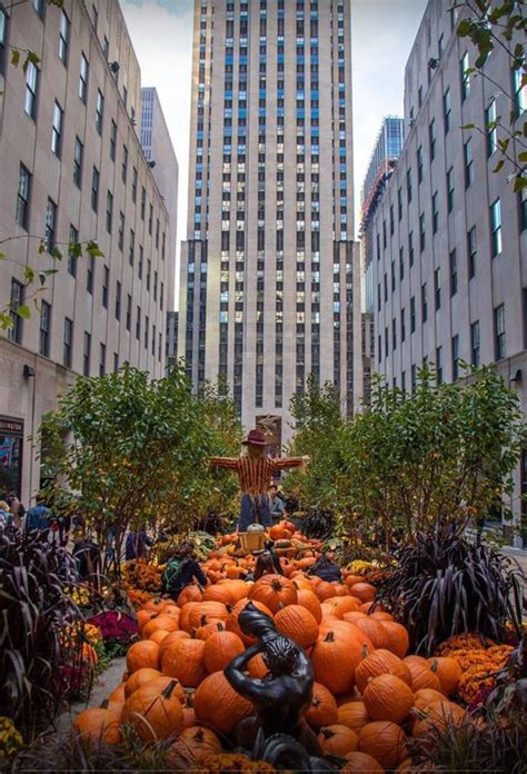 halloween 2024 new york
