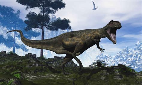 Discover the Biggest Giganotosaurus Ever Found - A-Z Animals
