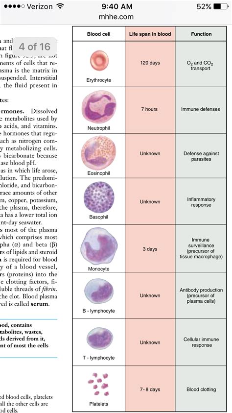 Reporting and grading of abnormal red blood cell morphology – Artofit