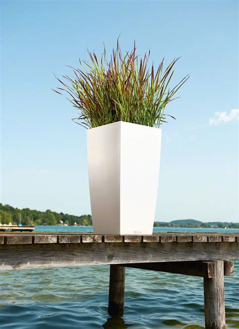 CUBICO Color 40 white All-in-One Set