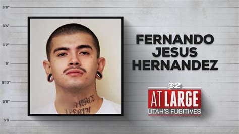 Sureño gang member with violent criminal history among Metro Gang Unit ...