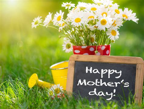 5 Amazing Garden Gifts For Mother's Day