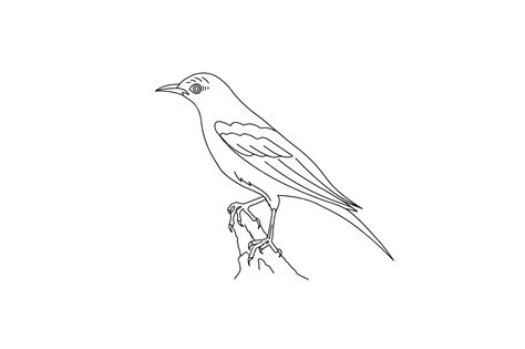 Premium Vector | A black and white drawing of a bird with a white face ...