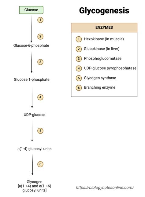 Image result for Machine Learning Graph Fitting
