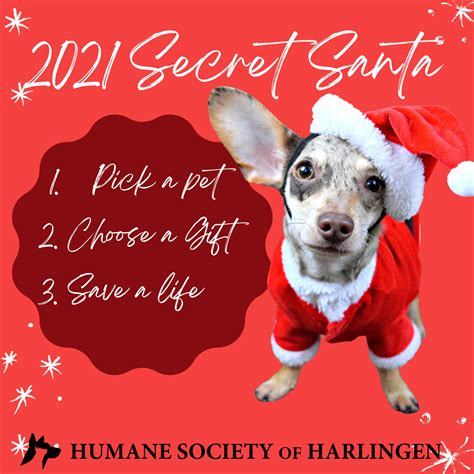 Humane Society of Harlingen (@hshtxorg) / Twitter