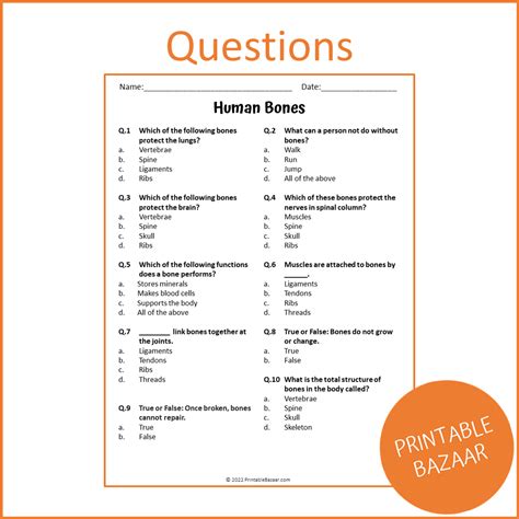 Human Bones Reading Comprehension Passage and Questions | Printable PD ...