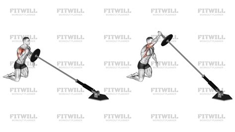 Landmine Kneeling One Arm Shoulder Press (VERSION 2): Exercise Guide ...
