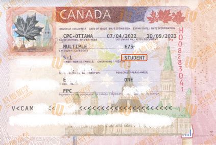留学生在加拿大生孩子有国籍吗？留学生加拿大生子政策揭秘