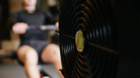 Image result for Using Weight Machines to Build Muscle