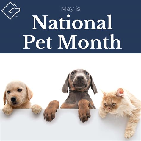 National Pet Month! - The Animal Law Firm