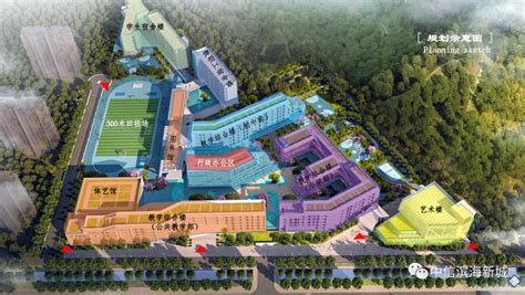 开学啦！汕头澄海区三个新校区正式投用，为该区新增5500优质学位_建设
