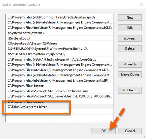 How to Use Selenium to Do Test Automation with Chrome Driver 的图像结果