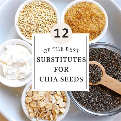 12 Best Substitutes For Chia Seeds For Every Recipe