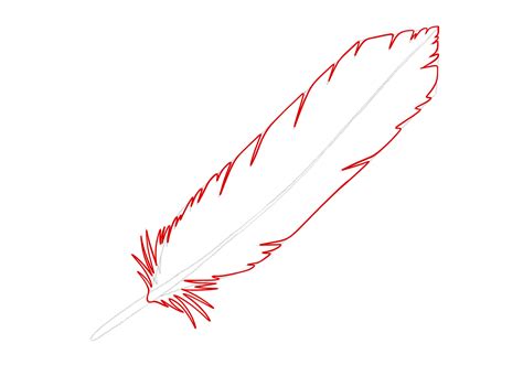 Feather Drawing Easy at Rosie Halsey blog