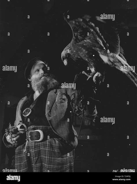 Night of the eagle hi-res stock photography and images - Alamy