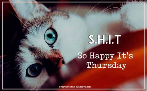 Funny Thursday Quotes to be Happy on Thursday Morning | Funny thursday ...