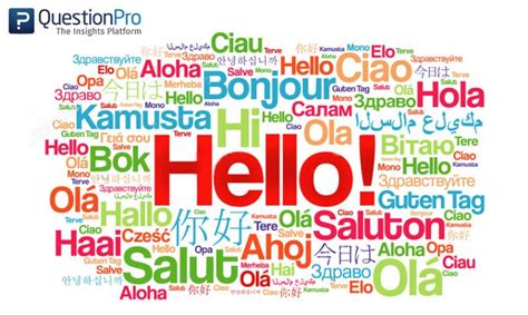 Multilanguage 的图像结果