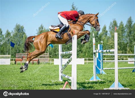 Chestnut Horse Jumping High