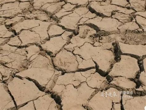 临沂蒙阴出现大面积严重干旱 调水900多万立方米_山东_百灵网