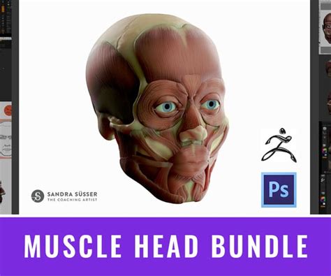 Muscle Head Model Computer Graphics Simulation 的图像结果