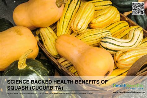 Science backed health benefits of Squash (Cucurbita) - Health Benefits