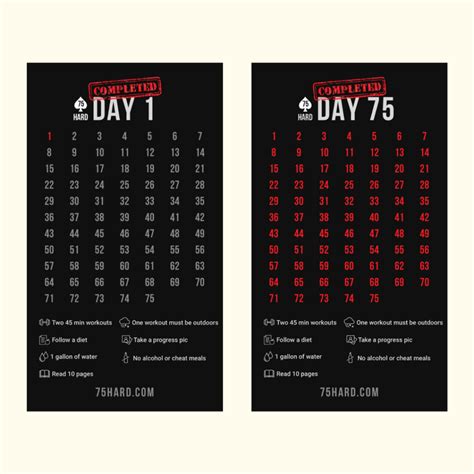 75 Hard Challenge Review: The Challenge That Transforms Your Body and ...