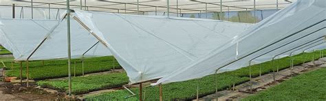 Anti-Drip Clear Film for Nursery - 120-Micron Protection in Monsoons