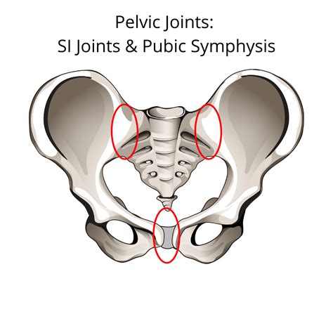 Overcoming Pelvic Pain During Pregnancy: Managing and Alleviating ...