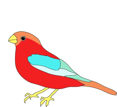 Birds Drawing Color