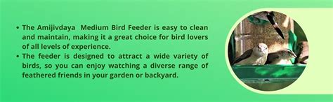 Amijivdaya Large Bird Feeder (Green, Transparent) - Pack of 10 : Amazon ...