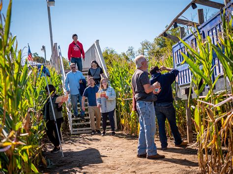 Howell Farm runs Carousel Corn Maze - nj.com