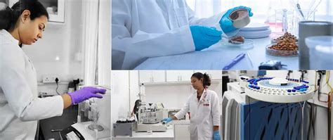 Global Leader in Testing, Inspection, and Certification – Mitra SK