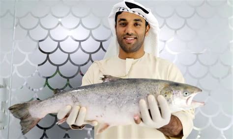 What Are the Top 10 Business Ideas to Begin in the UAE?