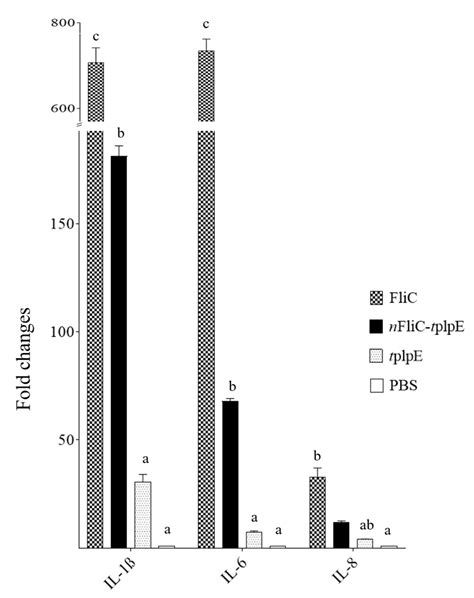 N-terminus of Flagellin Fused to an Antigen Improves Vaccine Efficacy ...