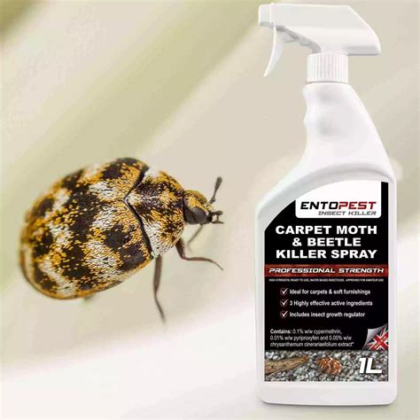 Entopest Carpet Beetle & Moth Killer Spray 1ltr – Moth Removal
