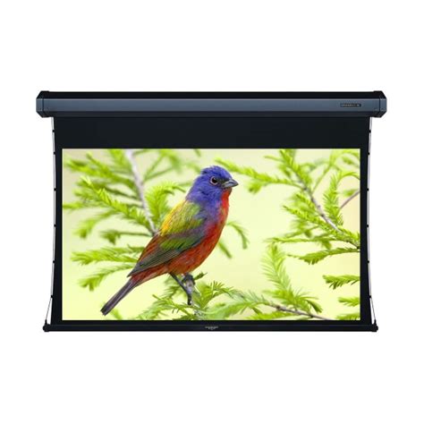 Liberty Grandview 189" (16:10) Cyber Series Tab-Tension Screen with HD ...