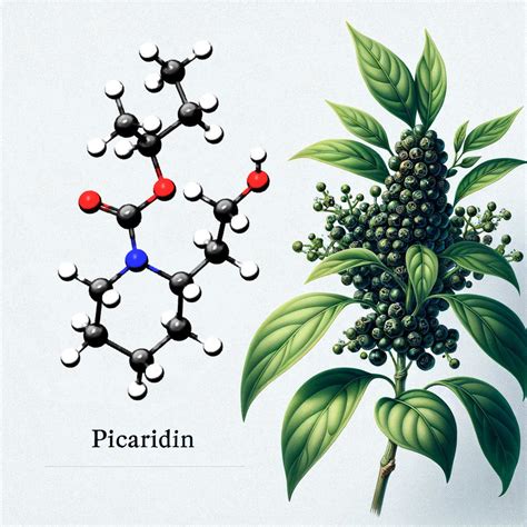 Your Mosquito Repellent: DEET vs. Picaridin – Hunt