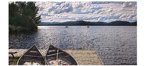 Corel Painter Help | Using clone source or pattern luminance to create ...